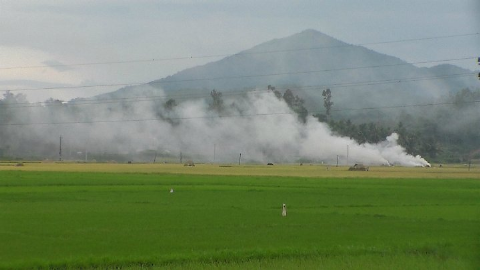 Umweltschutz bei der Neugestaltung ländlicher Räume
